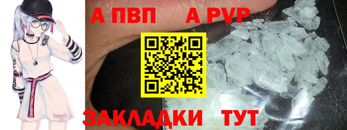 Alfa_PVP СК КРИС Гудермес