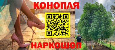 сатива Ачхой-Мартан
