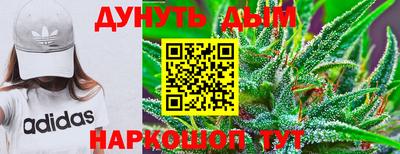 сатива Ачхой-Мартан