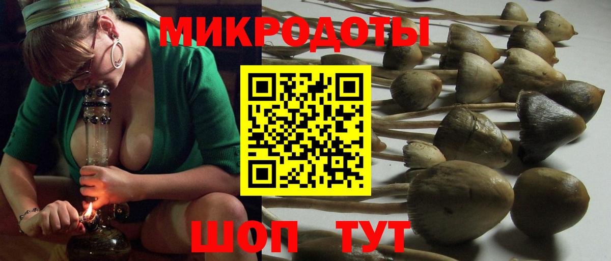 Гудермес  Галлюциногенные грибы прущие грибы  Вход с VPN 